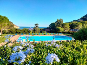 Elbamare residence con piscina Nisporto